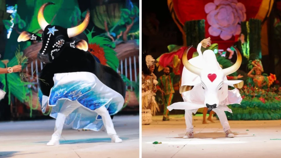 Festival de Parintins 2024: veja ‘caravanas’ com atrações musicais e festas