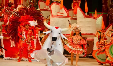 Festival de Parintins: em quais anos o Boi Garantido foi vencedor?