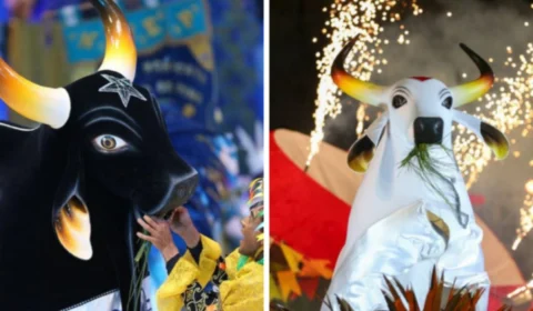 Festival de Parintins: novo regulamento polêmico da competição chama atenção