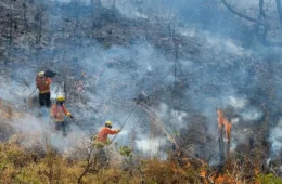 Entenda o que muda com fim do El Niño e início do La Niña