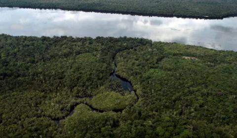 Dia do Meio Ambiente destaca ações de enfrentamento à desertificação