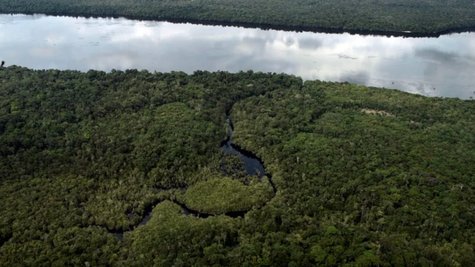 Dia do Meio Ambiente destaca ações de enfrentamento à desertificação