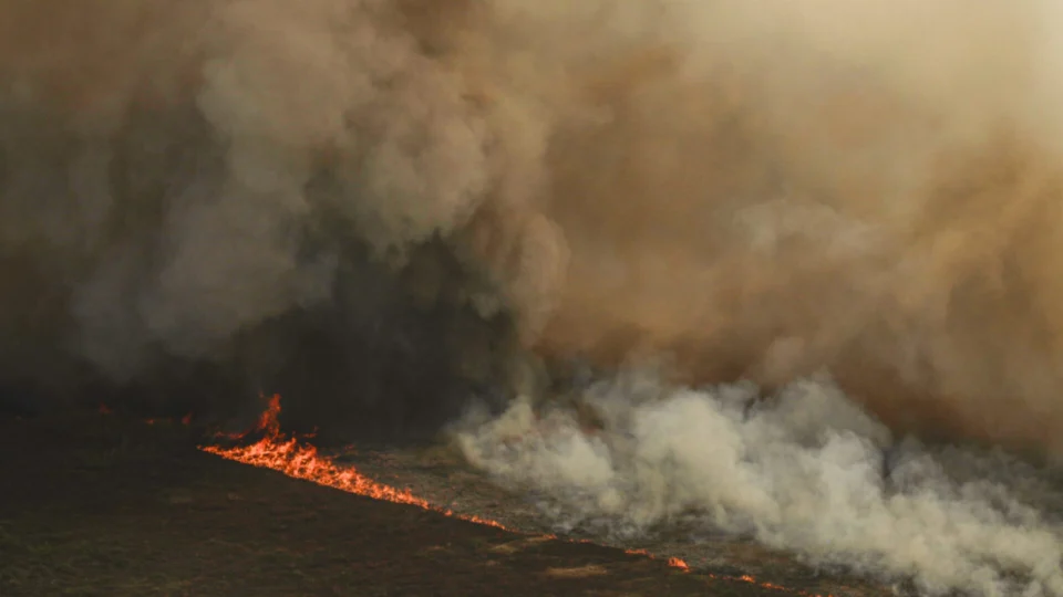 Entenda os impactos dos incêndios florestais na vida dos brasileiros