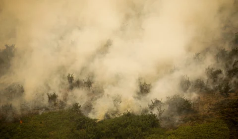 Brasil Lidera ranking de incêndios na América do Sul