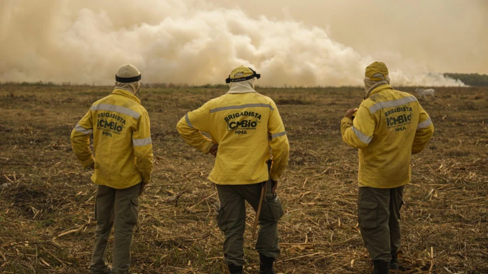 Incêndios no Pantanal devastam área três vezes o tamanho de SP