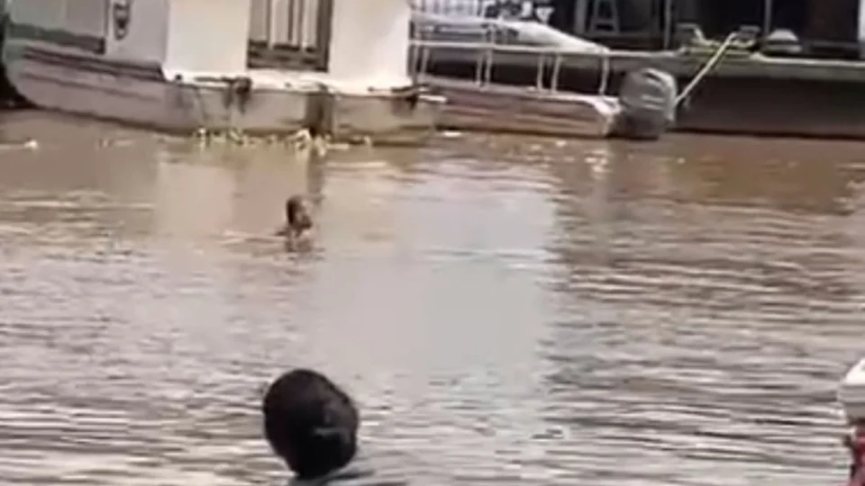 Jovem morre afogado enquanto pessoas filmam em vez de ajudar no Amazonas