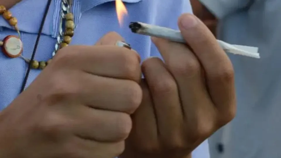 Entenda o que muda após STF descriminalizar porte de maconha