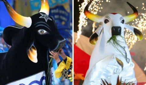 ‘Malu Dudu’ perde popularidade em Manaus e Garantido assume liderança