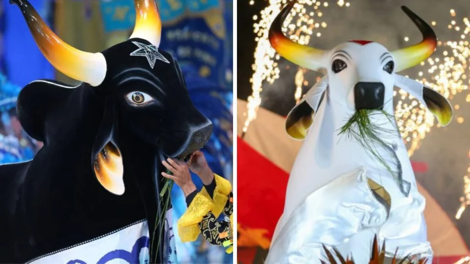 ‘Malu Dudu’ perde popularidade em Manaus e Garantido assume liderança