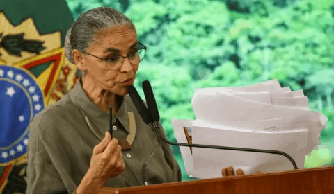 Cerrado tem 12,9% a menos de desmatamento neste ano