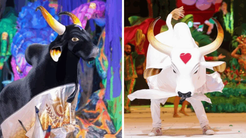 Página do Maranhão critica Boi-Bumbá: ‘esse boi de Manaus é feio’