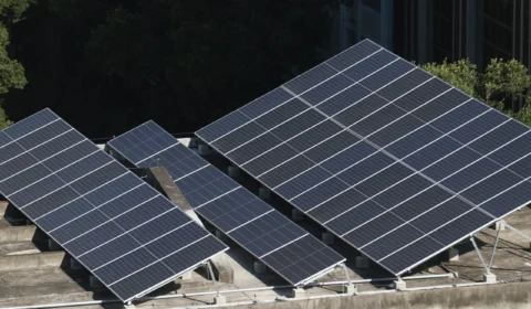 Piauí triplica desmatamento, enquanto discute nova lei ambiental