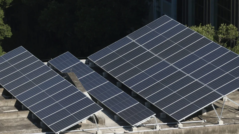 Piauí triplica desmatamento, enquanto discute nova lei ambiental