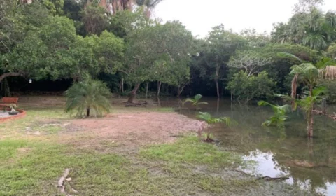 Projeto de tratamento de efluentes do IFRR é selecionado para receber apoio de R$ 40 mil