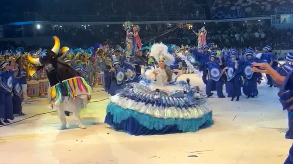 Festival de Parintins: Sinhazinha recebe o Boi Caprichoso no Bumbódromo