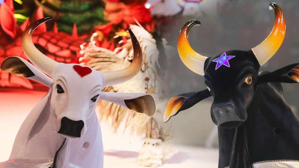 Minuto Bumbás: Conheça o ‘Tripa’, item que dá vida aos bois