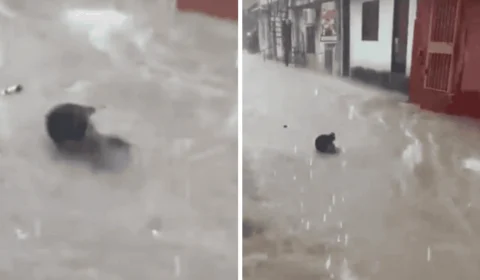 VÍDEO: homem é arrastado por ‘correnteza’ em Manaus após chuvas