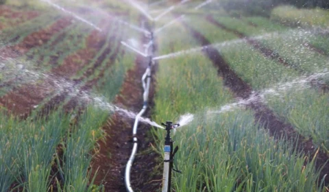 Plano reforça participação da sociedade na política climática nacional