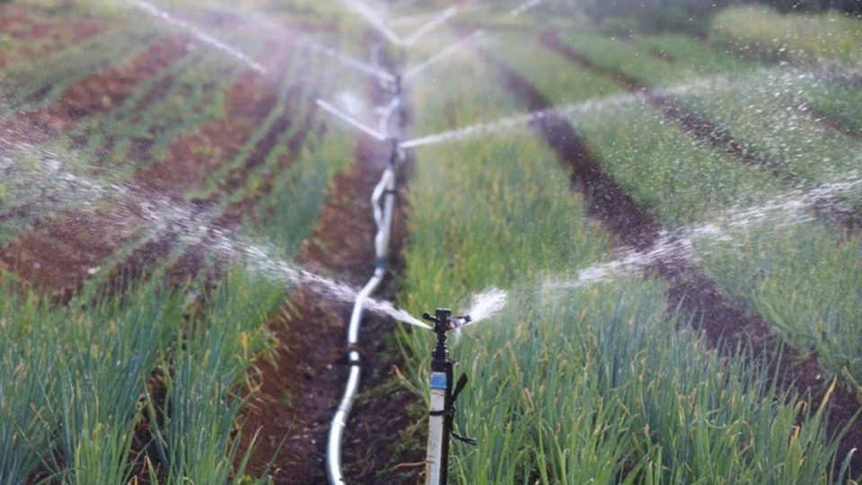 Plano reforça participação da sociedade na política climática nacional
