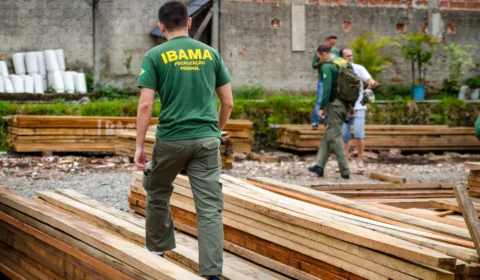 Servidores ambientais entram em greve nesta segunda-feira (1)