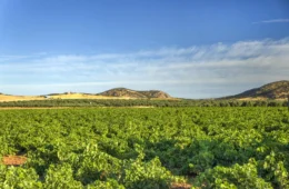 Governo apresenta novo Plano Safra nesta quarta-feira (3)