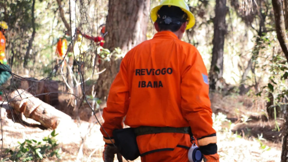 Incêndios Florestais castigam o Distrito Federal
