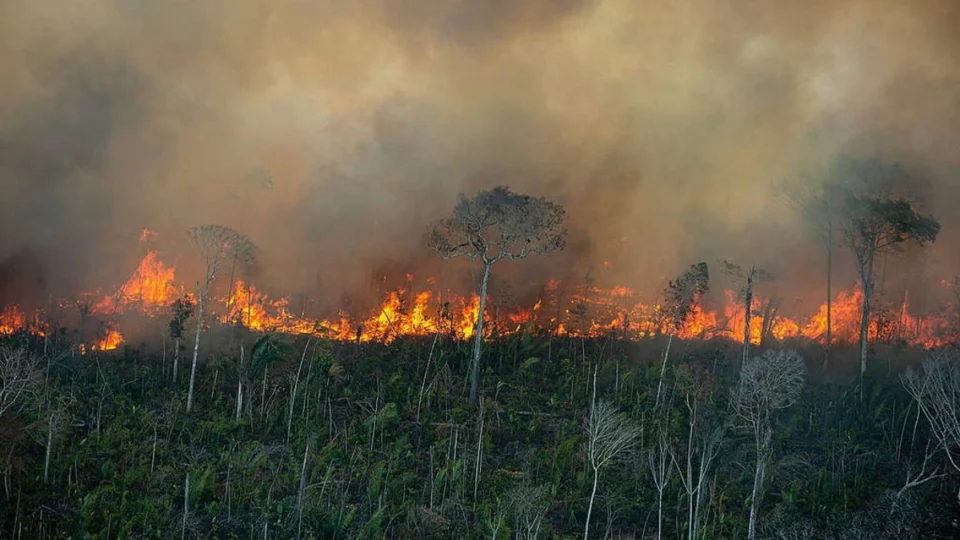 Amazônia enfrenta recorde de incêndios em duas décadas