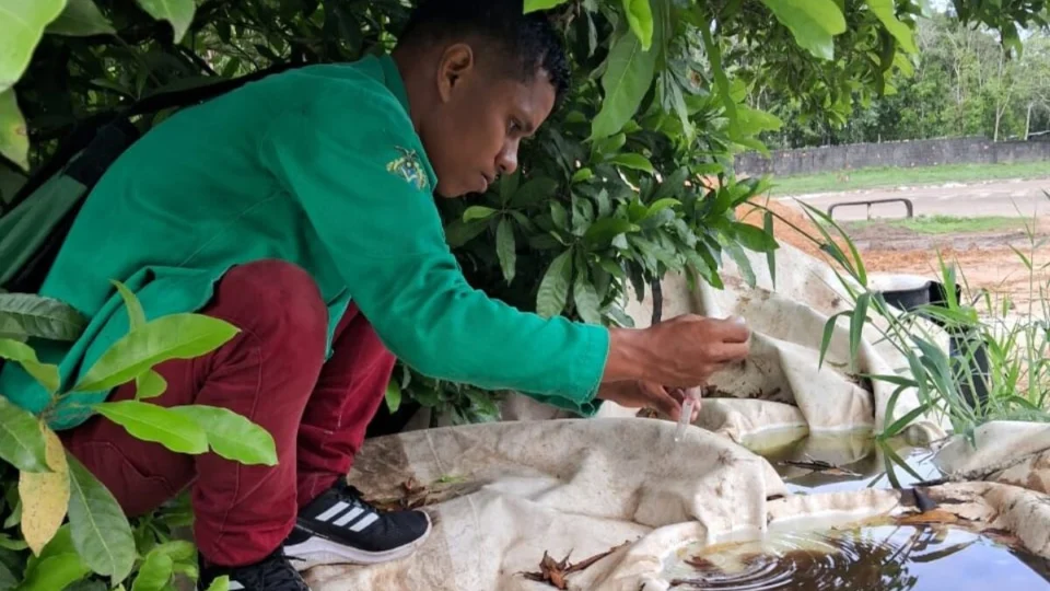 Amazonas registra mais de 20 mil casos suspeitos de arboviroses em seis meses