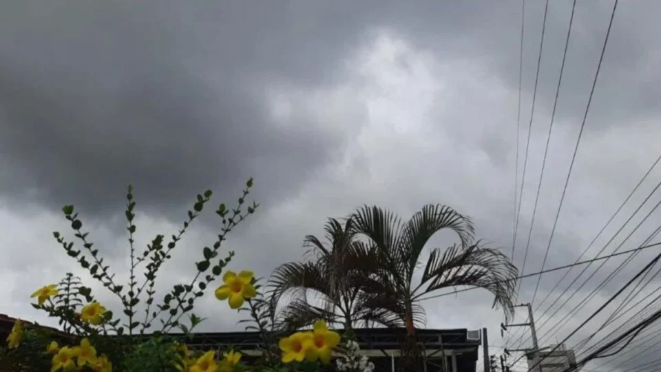 Previsão do tempo: Confira o clima para esta terça (16/7) em Manaus