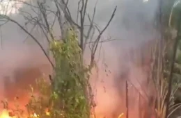 VÍDEO: Incêndio em grande proporções destrói casa na zona Leste de Manaus