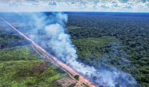 Povos indígenas usam tecnologia para monitorar a BR-319 e defender territórios; entenda