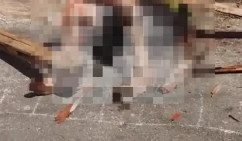 ‘Pará’ é espancado até a morte por suspeita de estuprar criança em Manaus