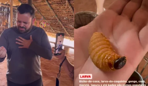 VÍDEO: Ex-BBB Michel come larva viva e mergulha com botos no AM