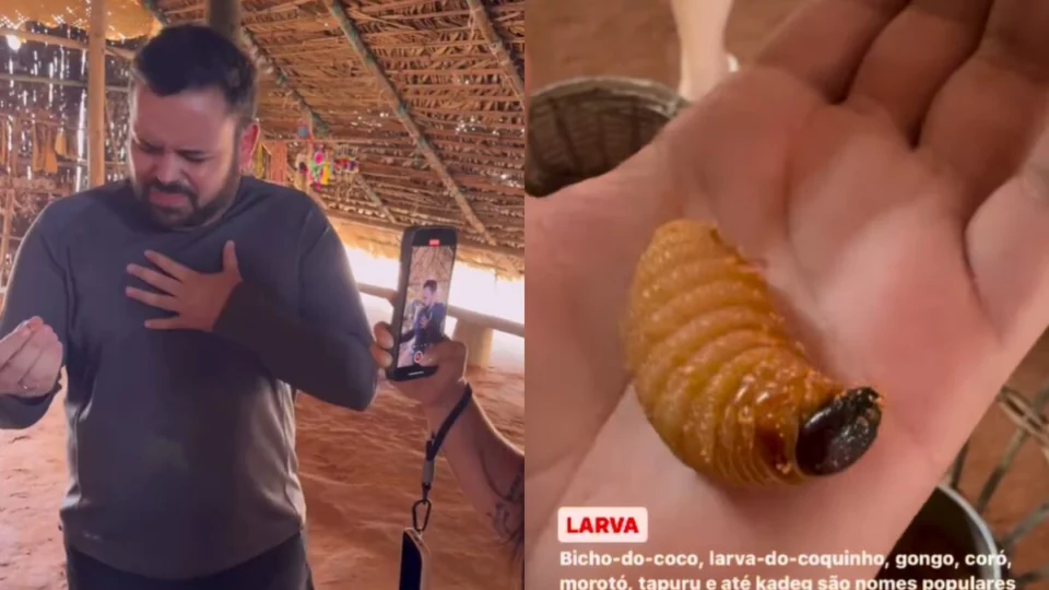 VÍDEO: Ex-BBB Michel come larva viva e mergulha com botos no AM