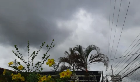 Confira previsão do tempo para este domingo (14) em Manaus