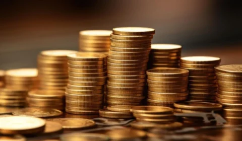 Quina 6487: aposta única acerta e leva sozinha R$ 43 milhões