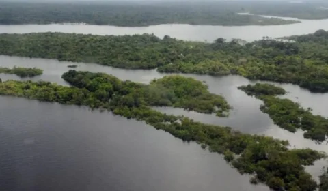 BNDES e UE firmam compromisso para proteção da Amazônia