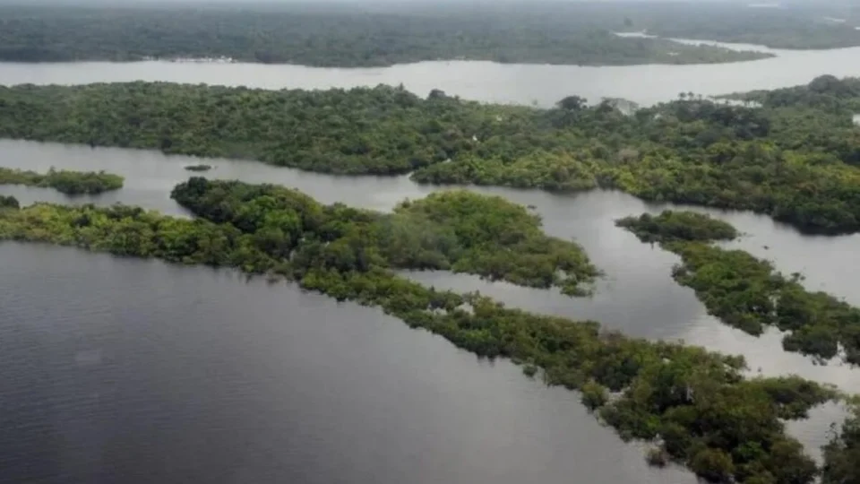 BNDES e UE firmam compromisso para proteção da Amazônia