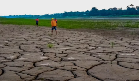 Seca 2024: Amazonas registra condição mais severa do país