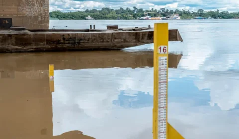 Especialista alerta para seca severa este ano na Amazônia