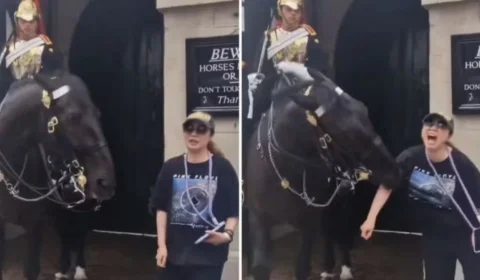 Turista leva baita mordida de cavalo da realeza britânica; veja vídeo