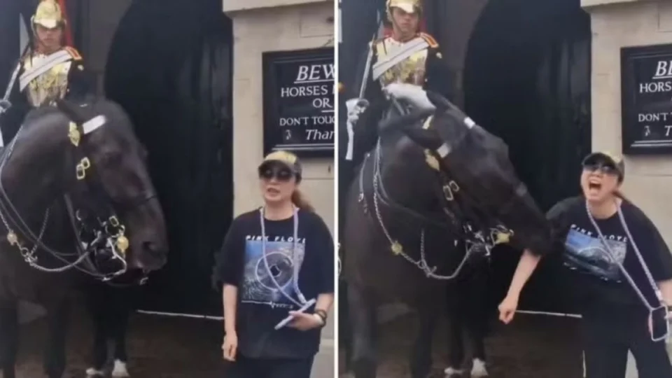 Turista leva baita mordida de cavalo da realeza britânica; veja vídeo