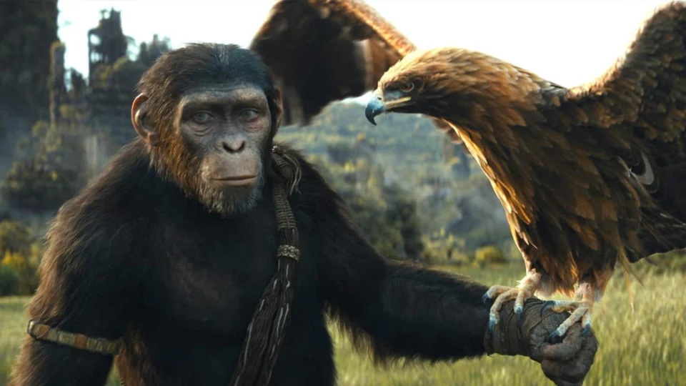 Veja os principais lançamentos da Disney+ e Max em agosto