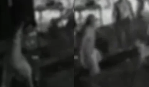 VÍDEO: Homem que esfaqueou cachorro em Manaus tem final que merece