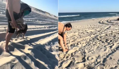 VÍDEO: mulher grávida descobre traição do marido e toma atitude