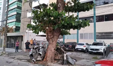 Cinco pessoas morrem e uma fica ferida em acidente após carro bater em árvore