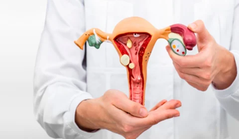 Como saber se estou com câncer de útero? Descubra sintomas silenciosos e cuide-se