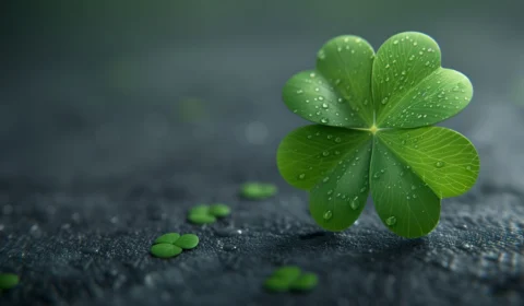 Dia de Sorte de hoje (30/07): veja resultado do sorteio 945