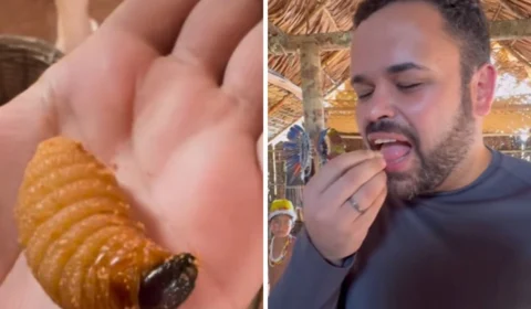 Ex-BBBs comem larva e formigas em visita à aldeia indígena no Amazonas