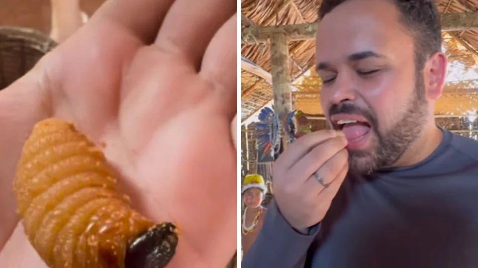 Ex-BBBs comem larva e formigas em visita à aldeia indígena no Amazonas